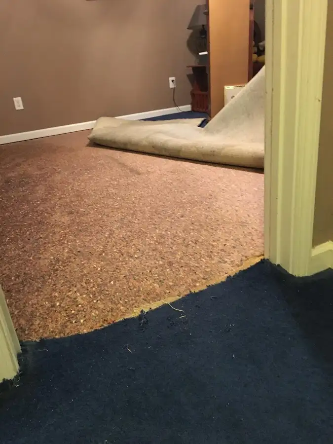 Carpet pad removal revealing water damage during Water Mitigation Services in Kalamazoo